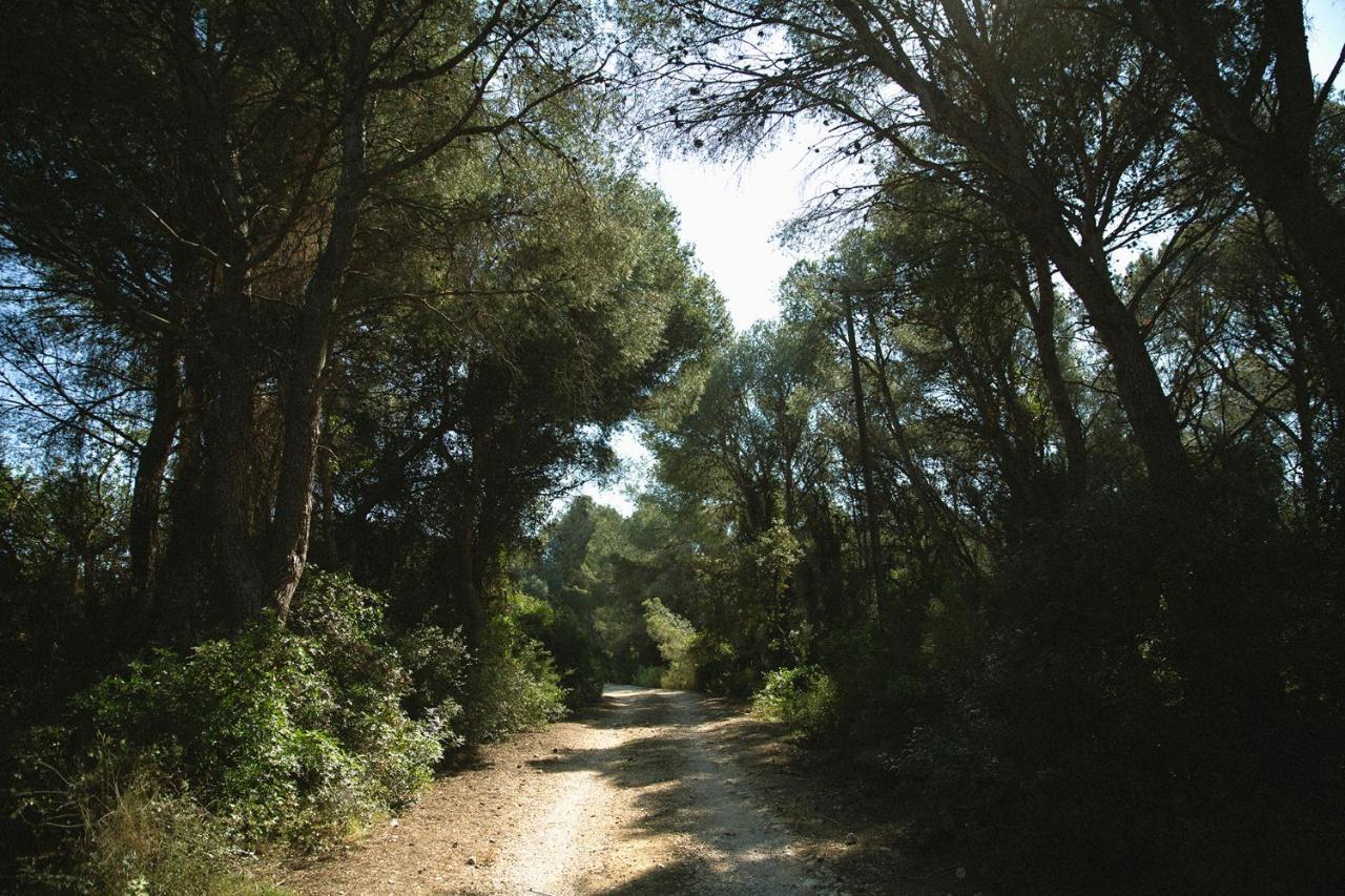 Masia Bartomeu Rural House Between Vineyards 2Km From The Beach El Vendrell Exterior photo
