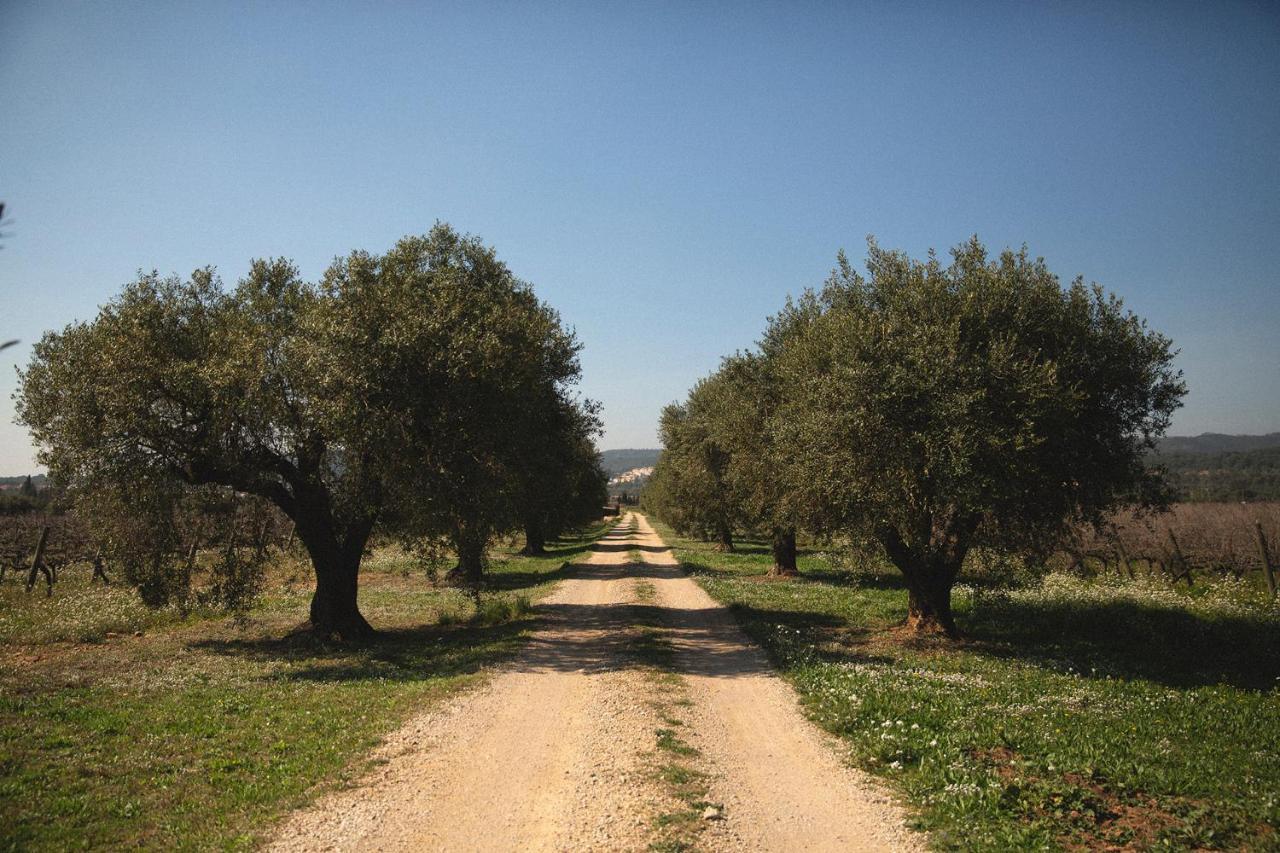 Masia Bartomeu Rural House Between Vineyards 2Km From The Beach El Vendrell Exterior photo