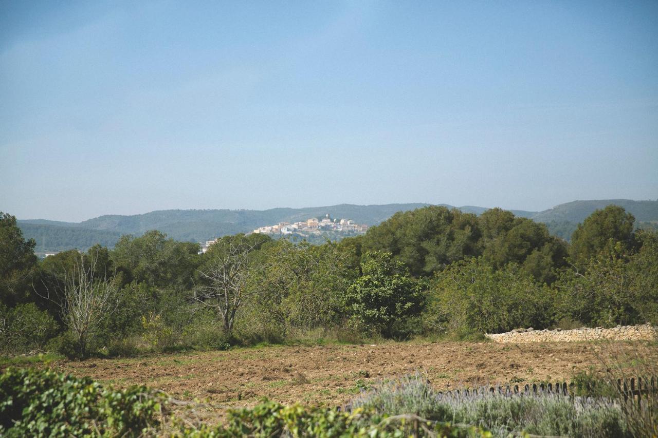 Masia Bartomeu Rural House Between Vineyards 2Km From The Beach El Vendrell Exterior photo