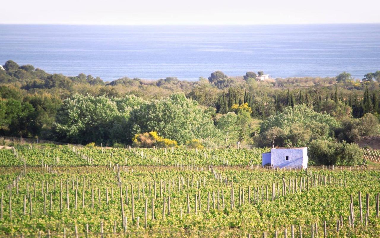 Masia Bartomeu Rural House Between Vineyards 2Km From The Beach El Vendrell Exterior photo